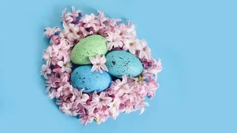 Easter background with blue Easter eggs in nest of spring flowers. Top view w Stock Photos