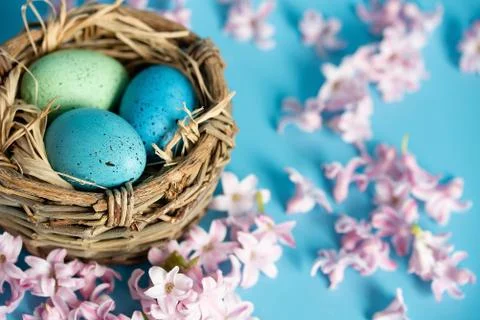 Easter background with blue Easter eggs in nest of spring flowers. Top view w Stock Photos