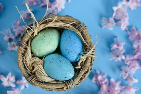 Easter background with blue Easter eggs in nest of spring flowers. Top view w Stock Photos