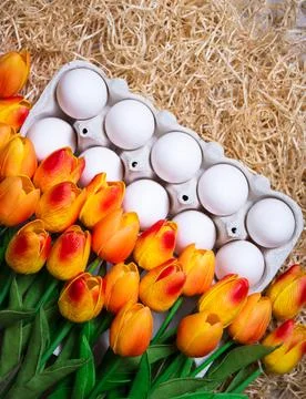 Easter background - box with eggs and tulips Stock Photos
