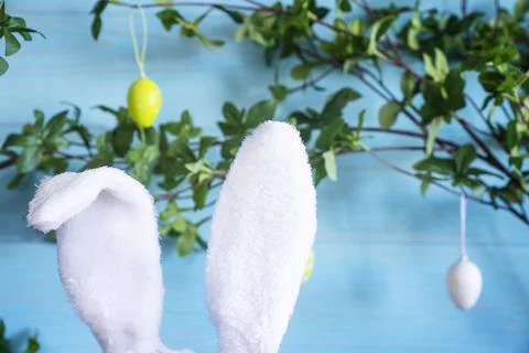 Easter background with bunny ears against the blue wooden background. Stock Photos