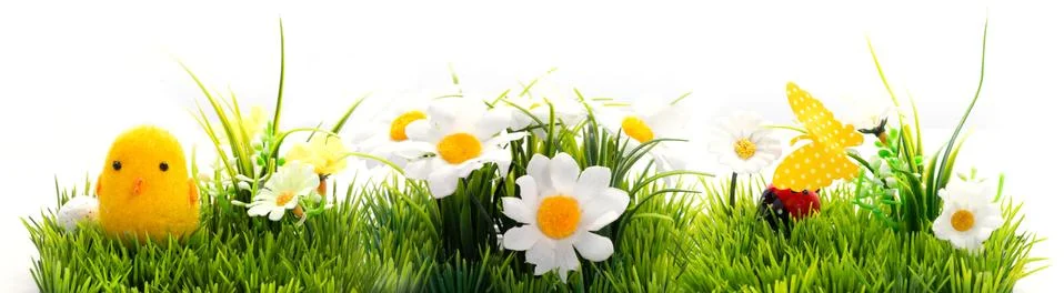 Easter background, cheerful flowers, Easter green and blue with yellow, Concept Stock Photos
