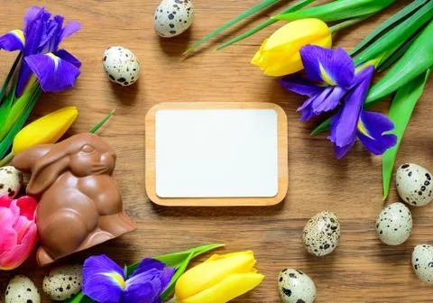 Easter background with a chocolate bunny Stock Photos