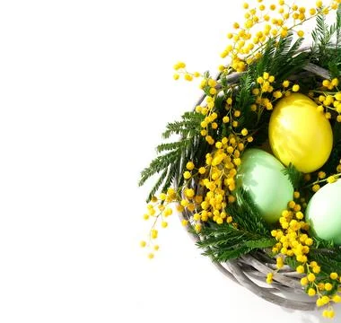 Easter background. Colored deco eggs and flowers mimosa in a wicker basket on wh Stock Photos