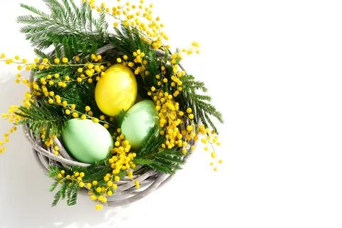 Easter background. Colored deco eggs and flowers mimosa in a wicker basket on wh Stock Photos