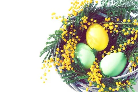Easter background. Colored deco eggs and flowers mimosa in a wicker basket on wh Stock Photos