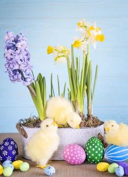 Easter background with colored Easter eggs. Stock Photos