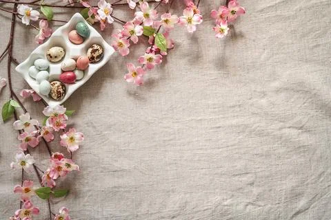 Easter background with colored easter eggs in egg stand and blooming branches. Stock Photos