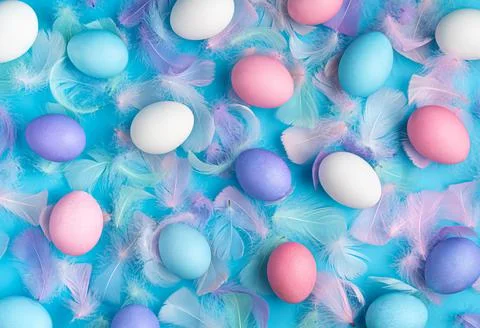 Easter background with colored eggs and feathers on a blue background. Stock Photos