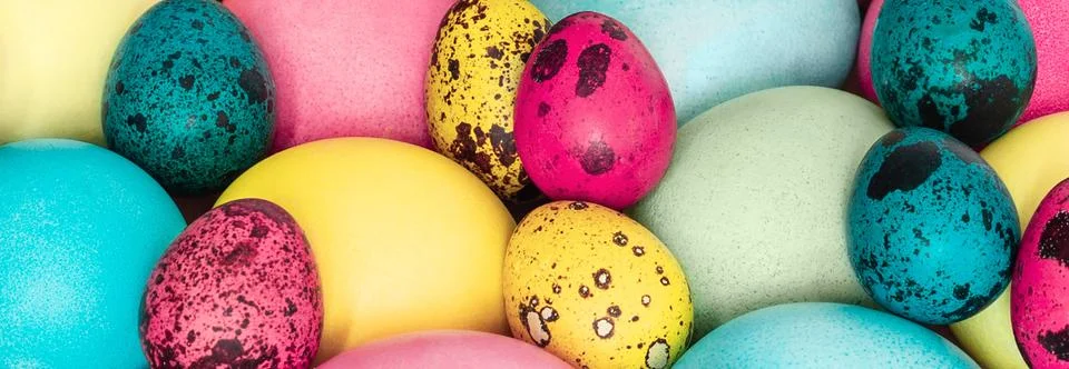 Easter background. Colorful Easter eggs close-up. Banner.  Stock Photos