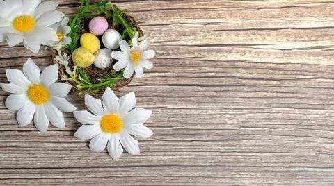 Easter background. Colourful easter eggs in nests. Stock Photos