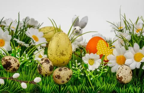 Easter background composition with easter eggs Stock Photos