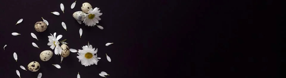 Easter background on dark Stock Photos