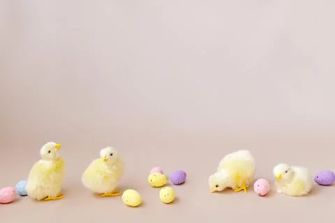 Easter background with easter chicks and eggs. Easter decor Stock Photos