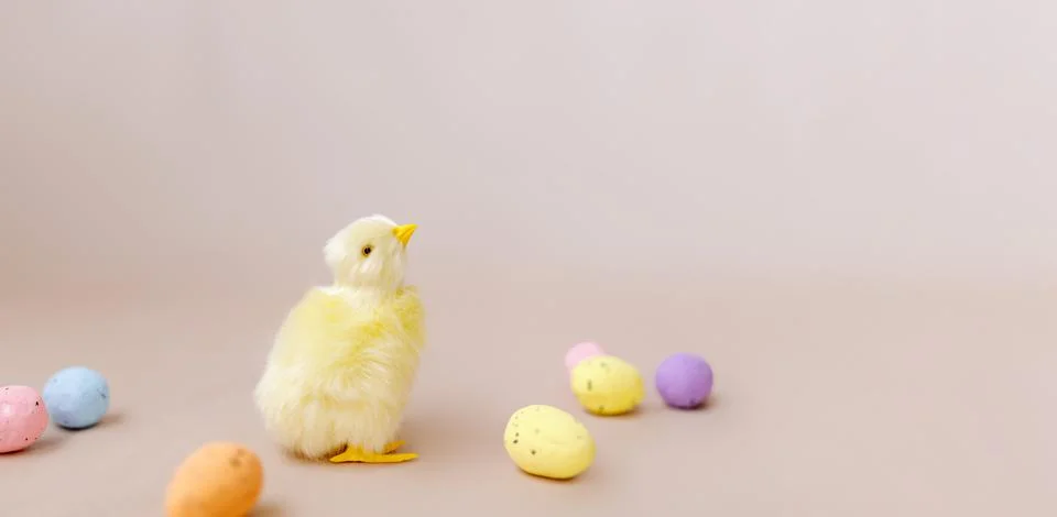 Easter background with easter chicks and eggs. Easter decor Stock Photos