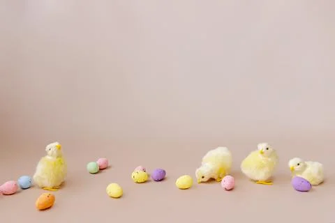 Easter background with easter chicks and eggs. Easter decor Stock Photos