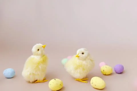 Easter background with easter chicks and eggs. Easter decor Stock Photos