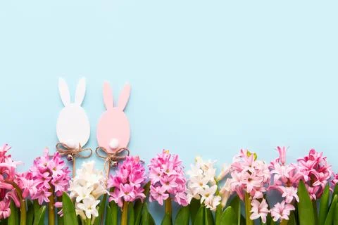 Easter background. Easter decoration and hyacinth flowers on a light blue Stock Photos