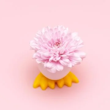 Easter background with Easter eggs and spring flower. Top view with copy space. Stock Photos