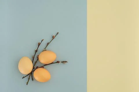 Easter background with Easter eggs and pussy willow laid out in the form of a Stock Photos