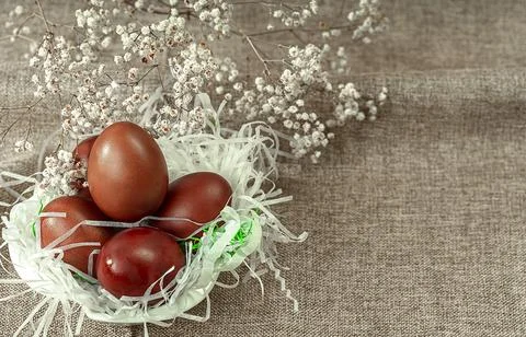 Easter background with Easter eggs and spring flowers. Top view with copy s.. Foto stock