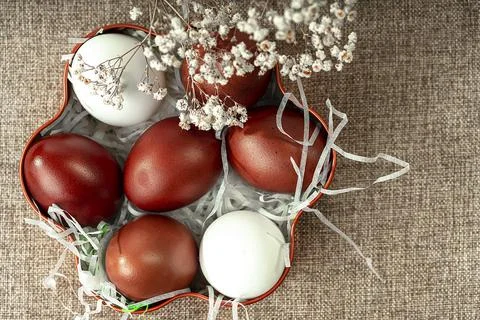 Easter background with Easter eggs and spring flowers. Top view with copy s.. Stock Photos