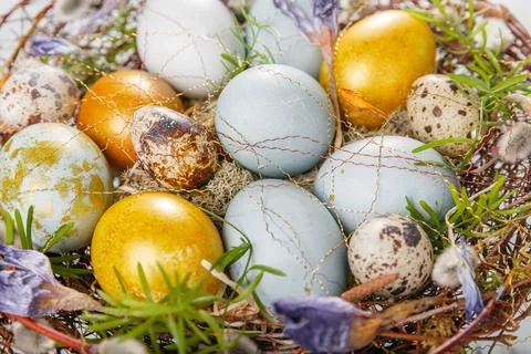 Easter background with Easter eggs and spring flowers. Top view with copy spa Stock Photos
