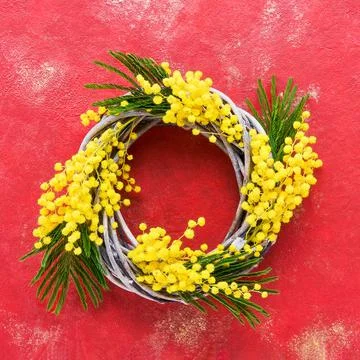 Easter background. Easter wreath decorated with mimosa flowers on bright red Stock Photos