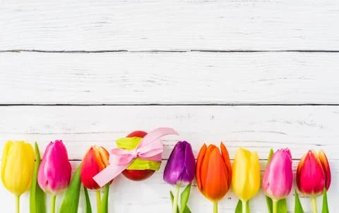 Easter background with egg and multi-colored tulips on white wood Stock Photos