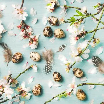 Easter background with eggs and almond blossom flowers, square crop Stock Photos