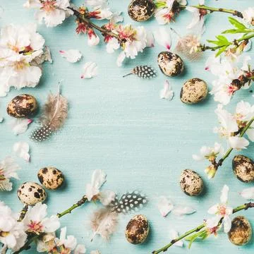 Easter background with eggs and almond flowers, square crop Stock Photos
