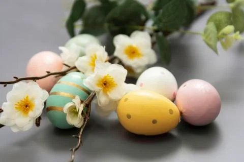 Easter background with eggs and branch with flowers. Stock Photos