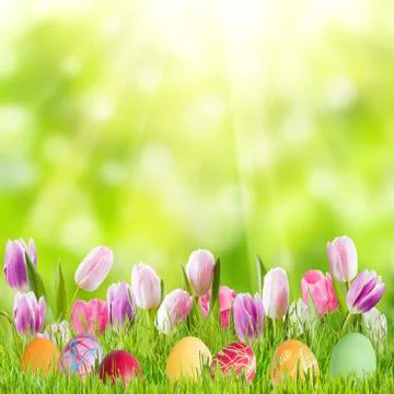 Easter Background with Eggs and Flowers Stock Photos