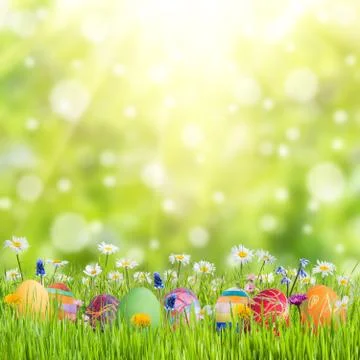 Easter Background with Eggs and Flowers Stock Photos
