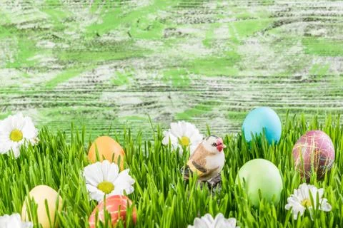 Easter Background with Eggs and Flowers Stock Photos