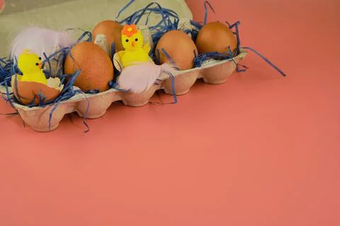 Easter background. Eggs and happy chickens in a basket on a blue straw on a pink Stock Photos