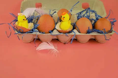 Easter background. Eggs and happy chickens in a basket on a blue straw on a pink Stock Photos