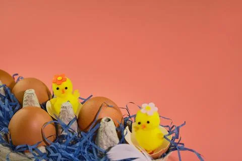 Easter background. Eggs and happy chickens in a basket on a blue straw on a pink Stock Photos