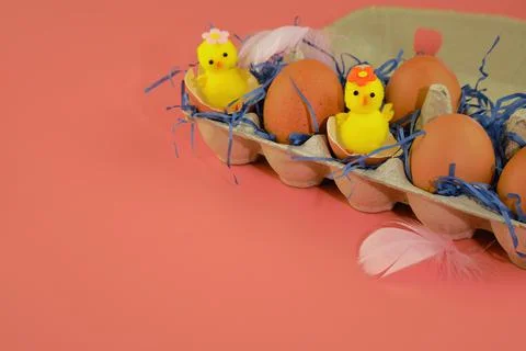 Easter background. Eggs and happy chickens in a basket on a blue straw on a pink Stock Photos
