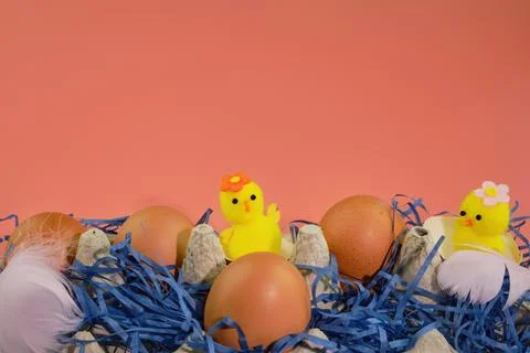 Easter background. Eggs and happy chickens in a basket on a blue straw on a pink Stock Photos