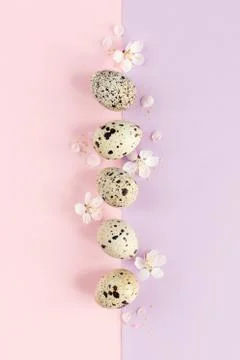 Easter background with eggs and spring blossom. Pastel colors. Minimal concep 스톡 사진