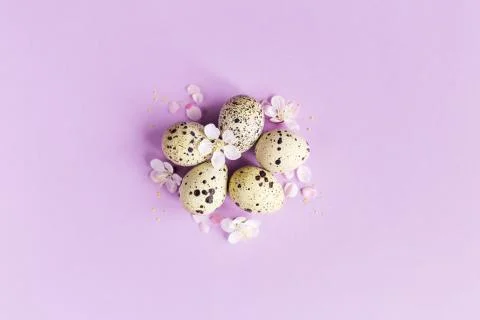 Easter background with eggs and spring blossom. Pastel colors. Minimal concep Stock Photos