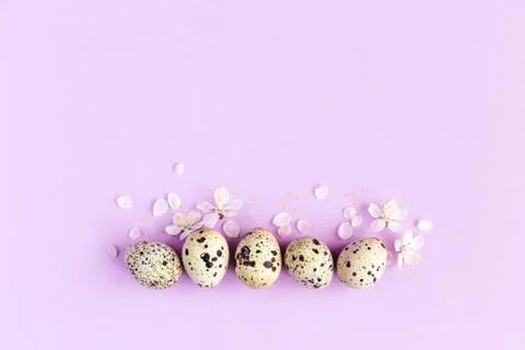 Easter background with eggs and spring blossom. Pastel colors. Minimal concep 스톡 사진