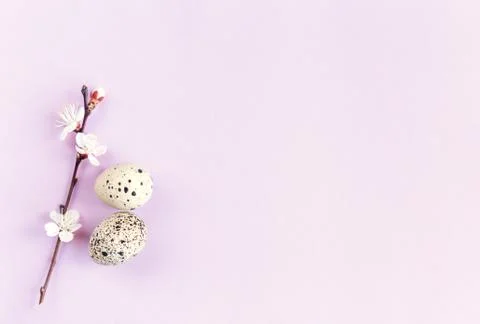 Easter background with eggs and spring blossom. Pastel colors. Flat lay. Plac Stock Photos