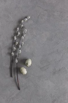 Easter background with eggs and spring willow branches. Minimal concept. Natu Stock Photos