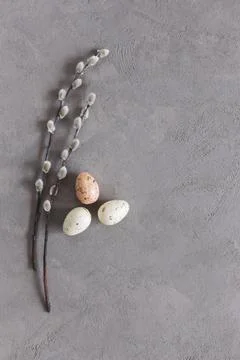 Easter background with eggs and spring willow branches.  Pastel colors. Flat Stock Photos