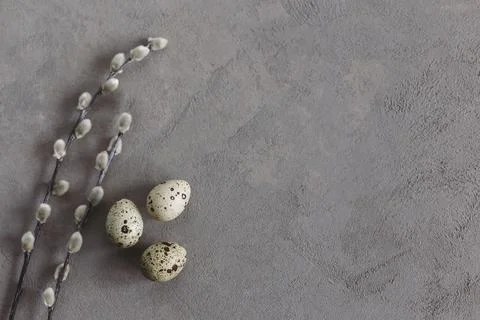 Easter background with eggs and spring willow branches. Minimal concept. Natu 스톡 사진