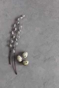 Easter background with eggs and spring willow branches. Minimal eco concept. Stock Photos