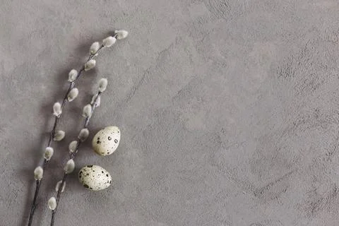 Easter background with eggs and spring willow branches. Minimal concept. Stock Photos