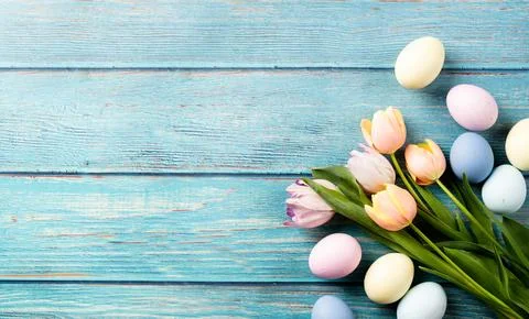 Easter background with eggs and tulips on blue wooden backdrop, top view fl.. Stock Photos